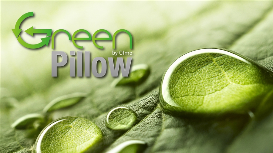 MY GREEN PILLOW 1